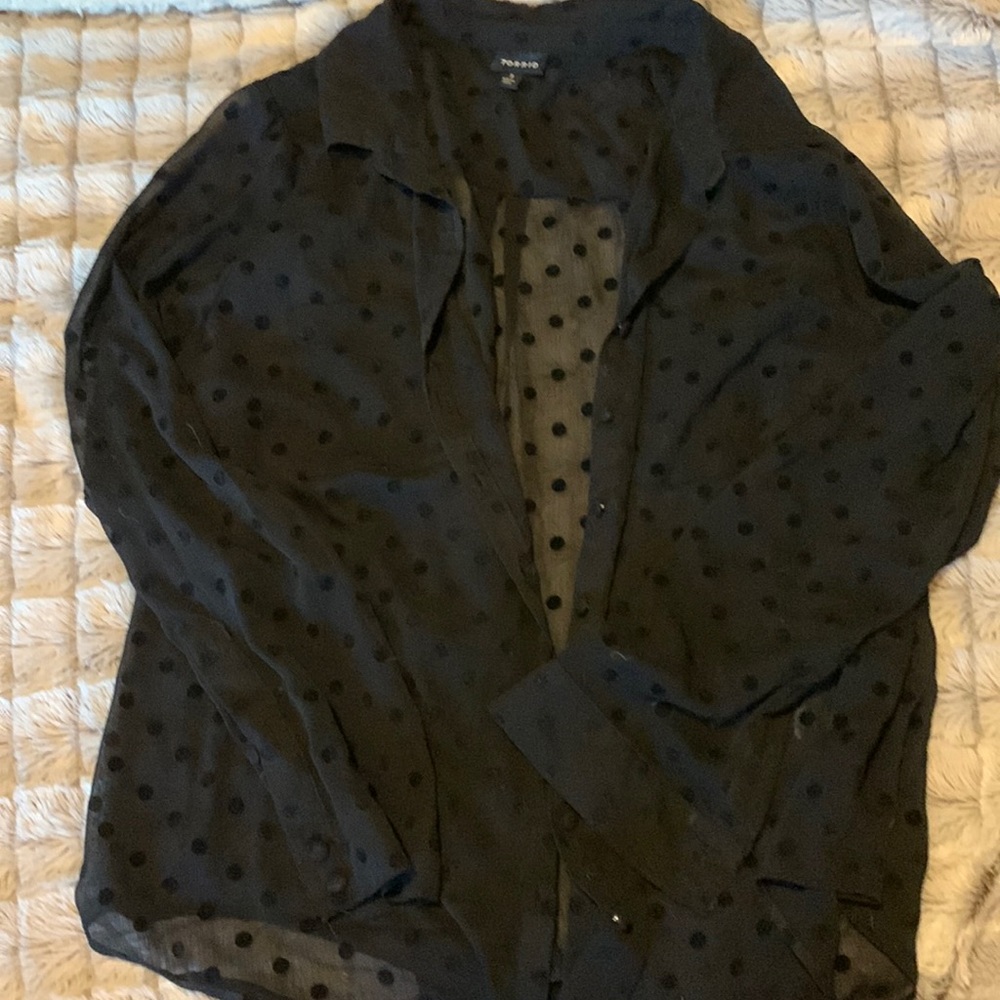 Sheer Velvet Polka Dot Blouse